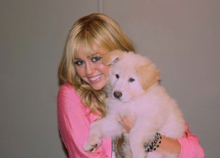 Miley Cyrus - Hannah Montana