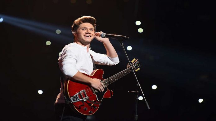 Niall Horan, cantante - Fonte: Getty Images