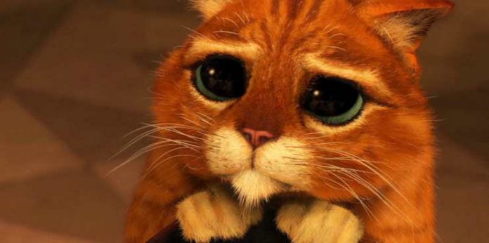 Il Gatto Con Gli Stivali 2 L Ultimo Desiderio