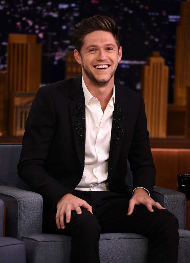 Niall Horan, cantante - Fonte: Getty Images