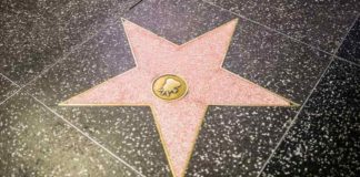 Stella per le celebrità vuota sulla Walk of Fame di Hollywood - Fonte: Instagram