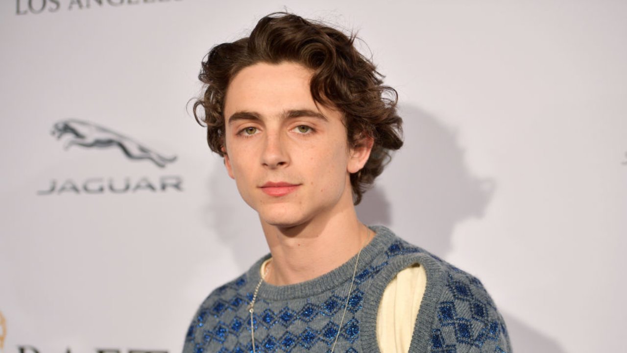 Il famoso attore Timothee Chalamet