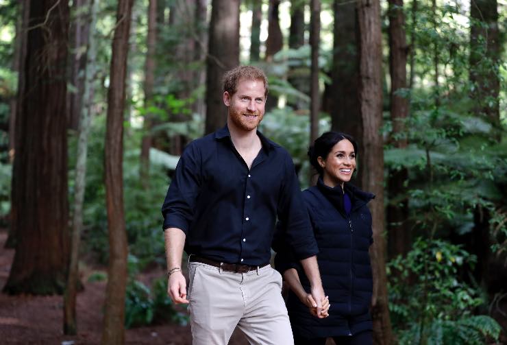 Harry e Meghan, Fonte: Getty Images