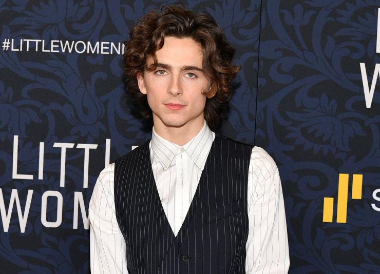 Timothee Chalamet, attore