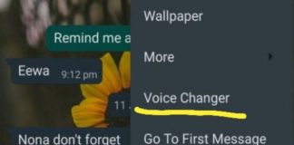 funzione voice changer