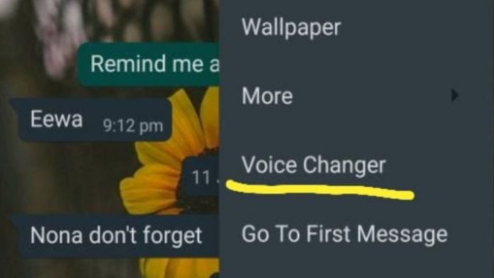 funzione voice changer
