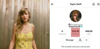 Taylor Swift su tiktok