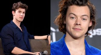Shawn Mendes contro Harry Styles: “Forse non è così carino come sembra”, il motivo