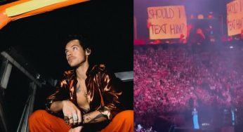 Harry Styles interrompe il concerto, il motivo è incredibile. Cos’è successo(VIDEO)
