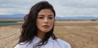 Amici 21