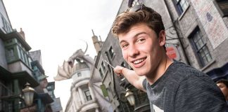 Shawn mendes