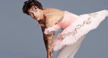 Harry Styles aiuta un fan a fare coming out, il gesto epico del cantante (VIDEO)
