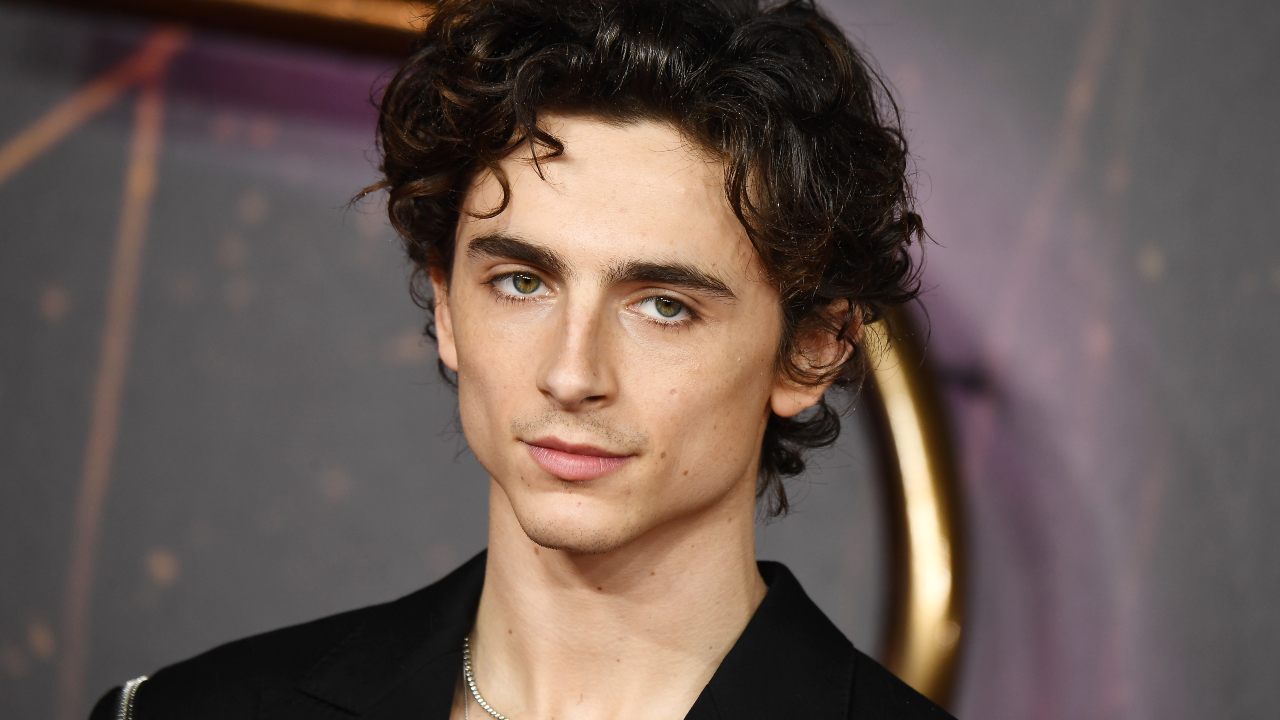 Timothée Chalamet da bambino